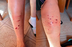 moreton01.jpg (207231 bytes)